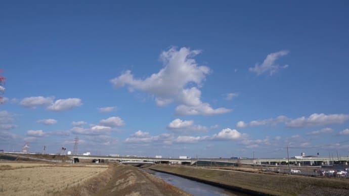 戯れ言 2025年 1月22日