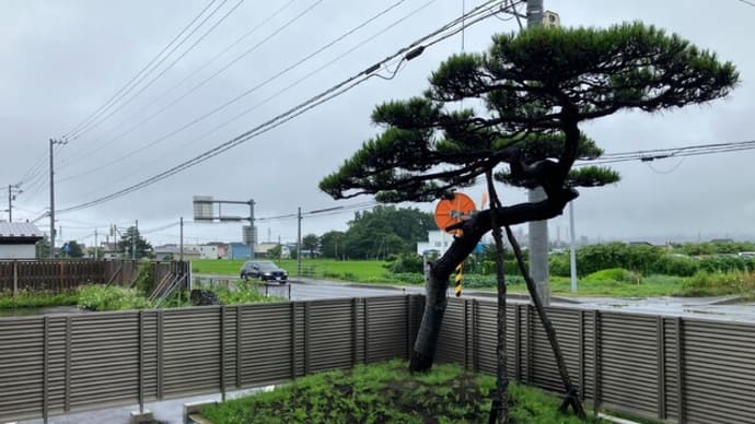雨上がりの日曜日の朝