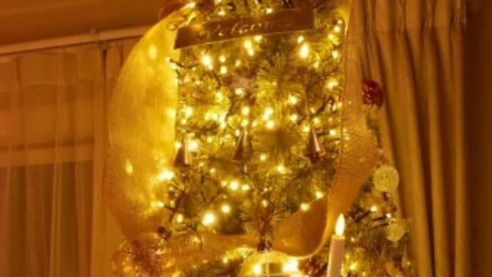2024年クリスマス飾り~点灯