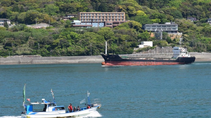 ムクドリと関門海峡 5月