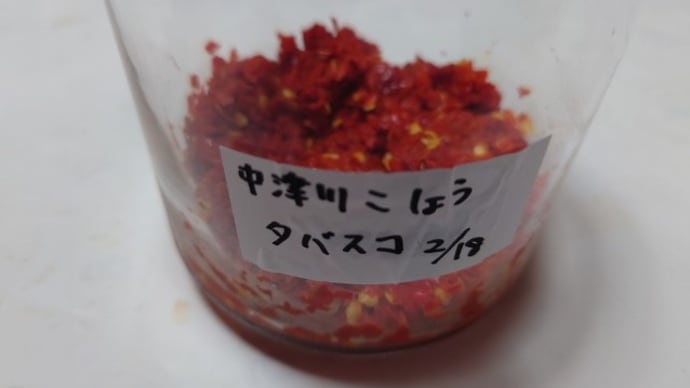 干し中津川こしょうのタバスコ、完成!!