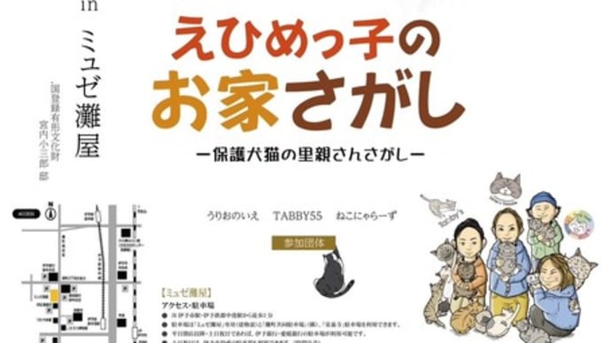 2025年3月1日 (土曜日) 保護犬猫の譲渡会開催🐶🐱