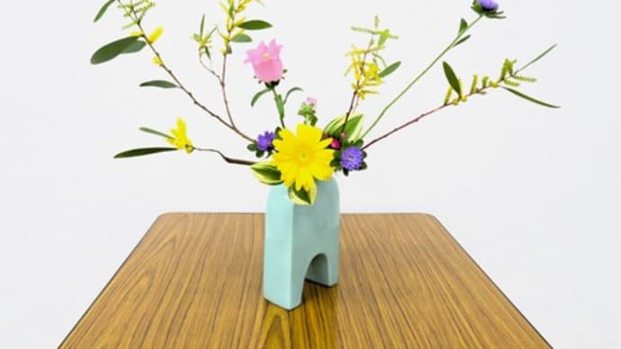 初めてのナガハアカシアとカンパニュラ・・自由花