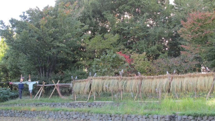 スカイビル里山の秋
