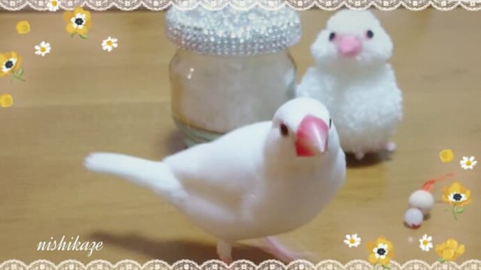 瓶の中身は