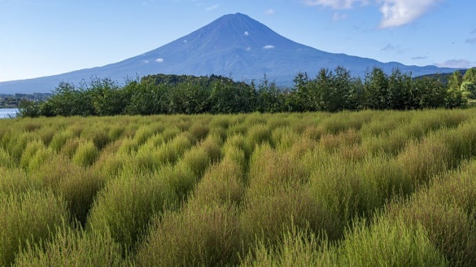 秋の風景