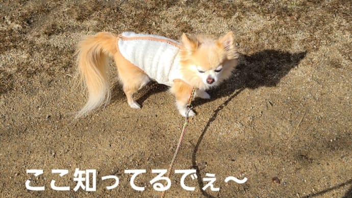 今日は病院じゃないよ!