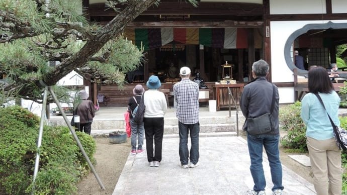 洞雲寺花まつり