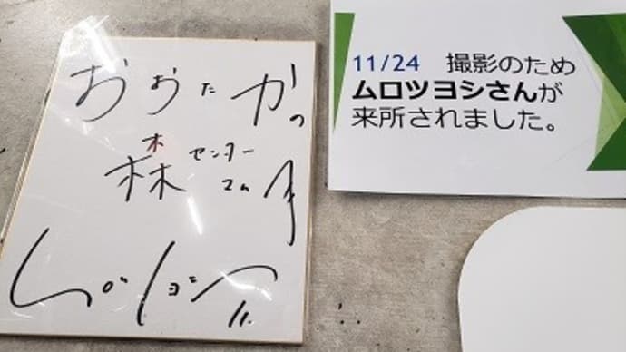 紫雲院殿政譽清浄晋寿大居士を想う