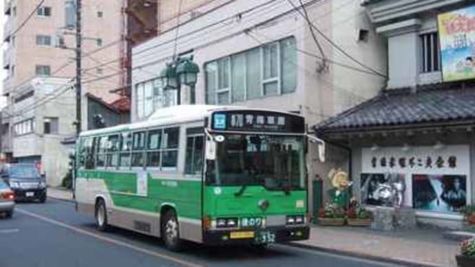 梅70 W-D868