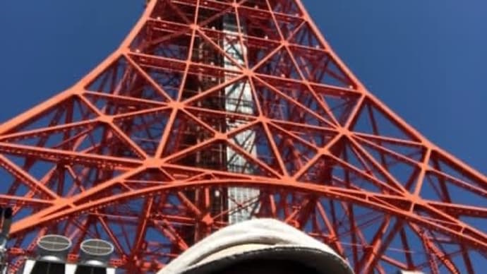 あおぞら　新　緑　そして　紅白の東京タワー激写っ　コレも脳トレ