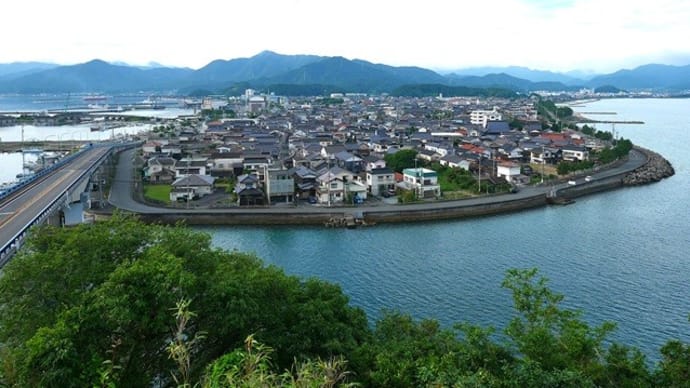 青海島のキキョウ