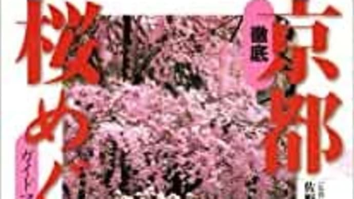 京都で桜の写真を今年も撮ってきた（4/1で、すでに京都市内の桜はだいぶ散っていた）