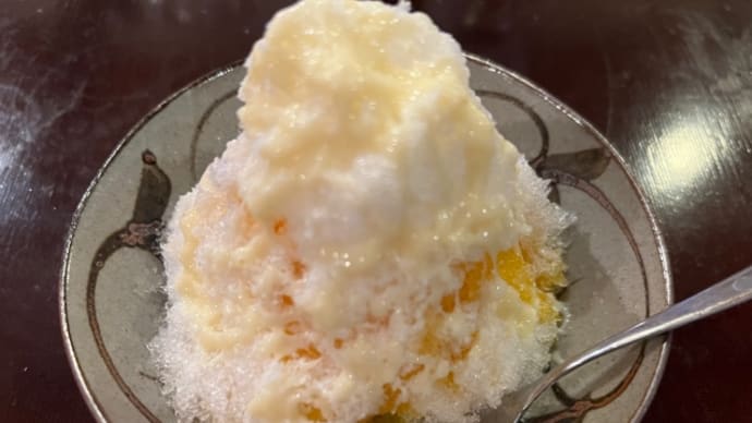 シャツカラーとタンクトップのツインブラウス