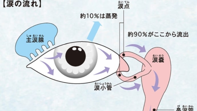 憂鬱!涙道閉塞症かな⁉️