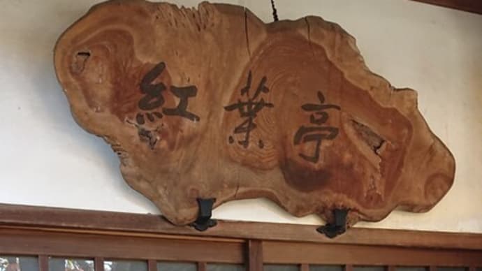 #332 -’22. 殿ヶ谷戸庭園(随冝園)その二