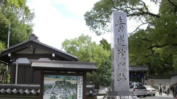 京都妖怪紀行（１１）：青蓮院門跡の楠の大木