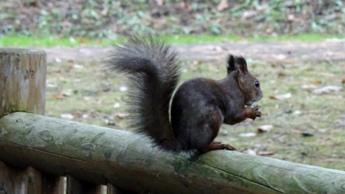 楽々散策110紅葉・見晴公園