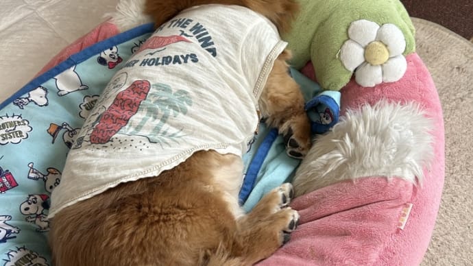 良かったね😊