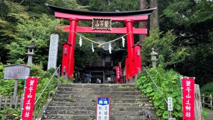 がちゃこさんからご朱印送って頂きました。鷲子山上神社(とりのこさんしょうじんじゃ)