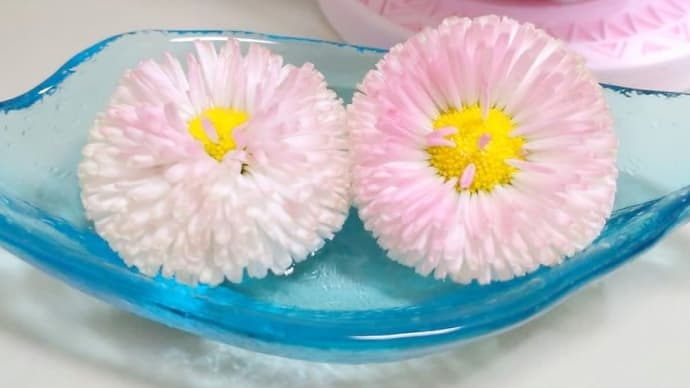 🌸 ストロベリー&クリーム 🌸