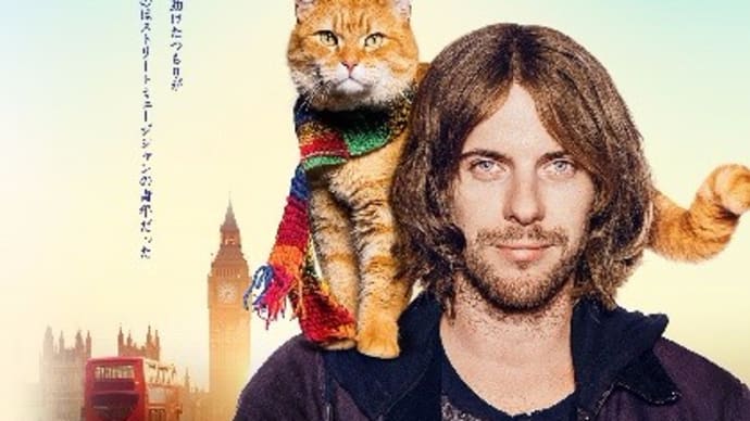 ボブ(=^・^=)自ら出演