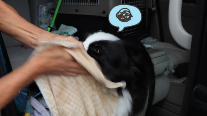到着後の定番をこなしたら