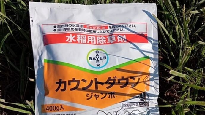 今日はみっちり農作業