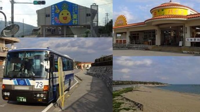 沖縄北部東海岸乗り継ぎ