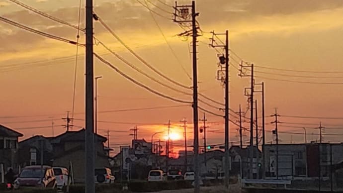 待てない春