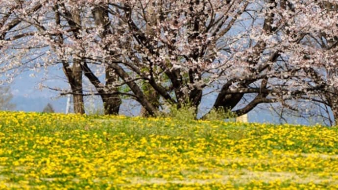 今日いち-2025年4月12日