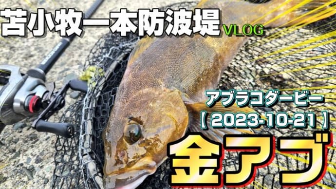 黄金アイナメ炸裂!苫小牧一本防波堤でロックフィッシュ♪2023年10月21日