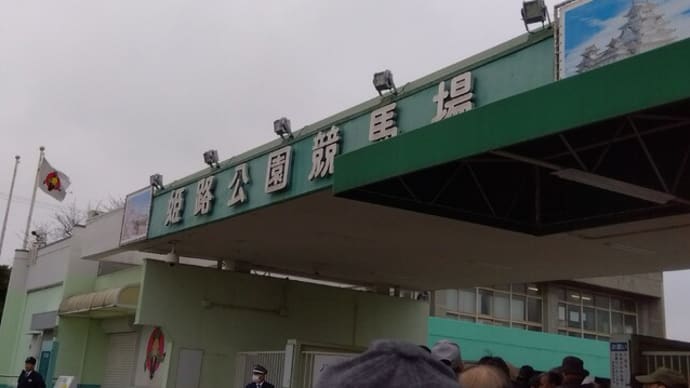 白鷺賞、行ってきました2024