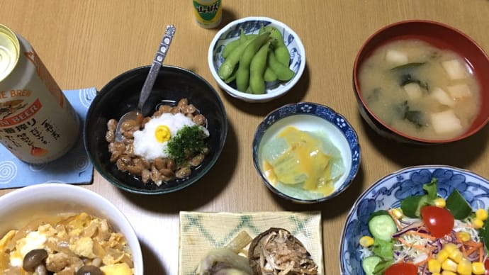 最後のブルーベリー収穫とブタブタブー(親子)脱出への道(o^^o)