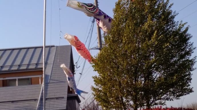 春の野