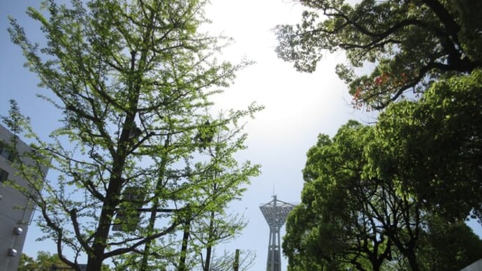 横浜公園・彼我庭園