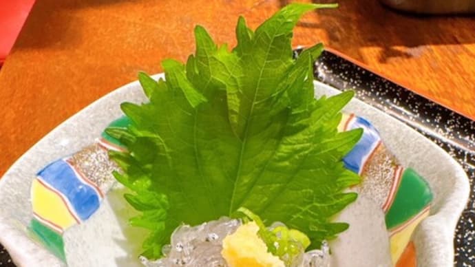 届いたばかりの朝どれの生しらす!漁師の漢気タイムでぜひご賞味ください!