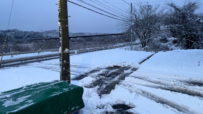 積雪、そして、シケ模様です。