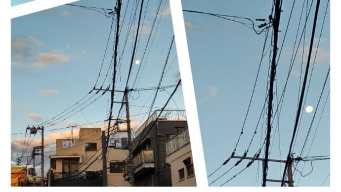 月が見てる其れを観てる