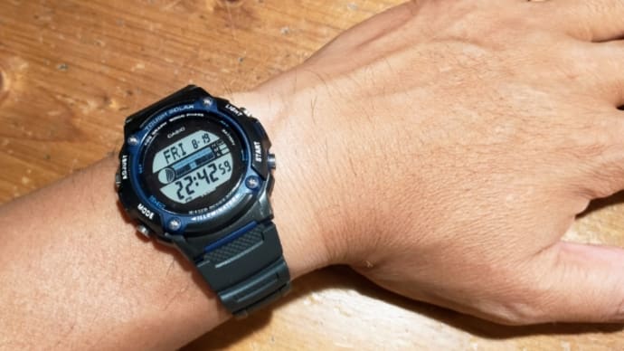 Re:SurfWatch / CASIO W-S210H 1A