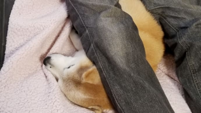 晴れても家の中