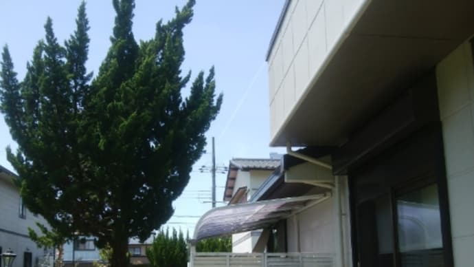 本日も掃除日和なり~