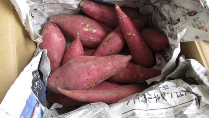 【送料込】紅はるか2kg サイズ色々『砂地』で育った南国高知のさつまいも