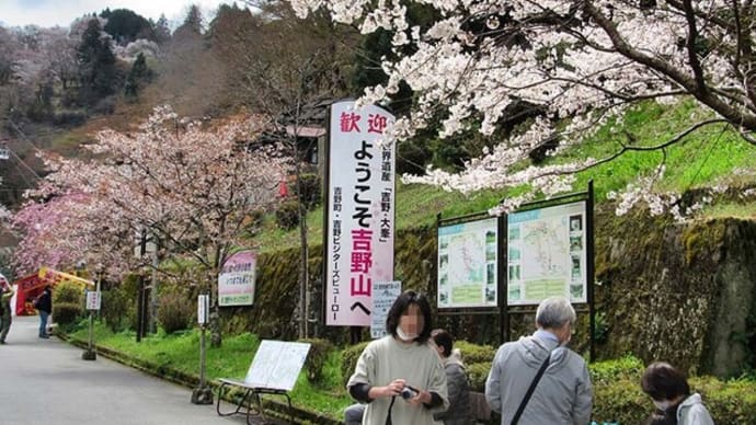吉野山 一目千本