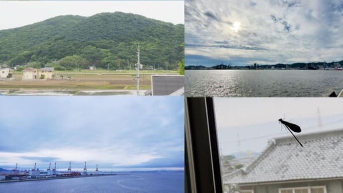 2024年5月31日　昨日，今朝の風景　岡山，神戸港，日の出せず，ハグロトンボ