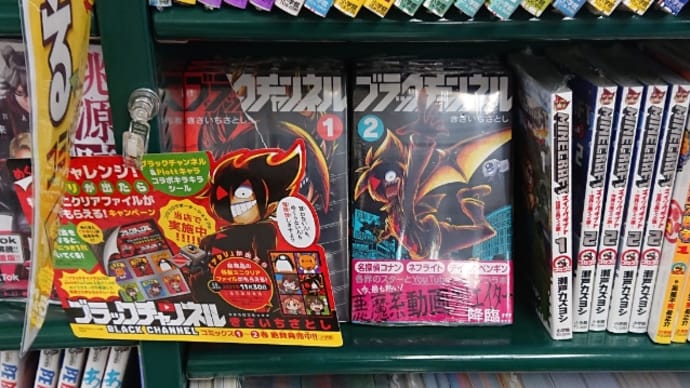色紙用額縁 ブラックチャンネル用