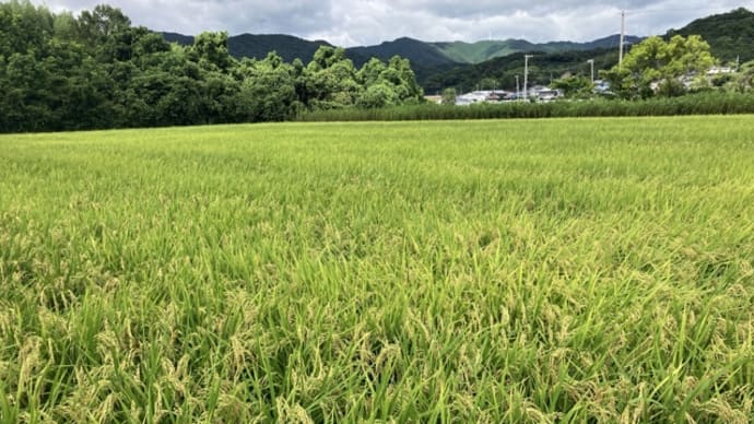 8月31日(109日目)台風通過!