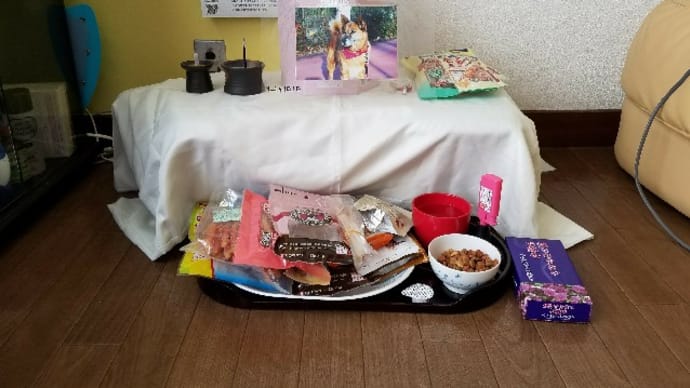 恩を忘れない犬、ともに過ごした日々は宝物です。