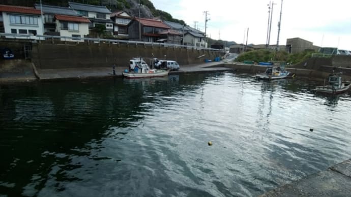 波止からグレ釣り