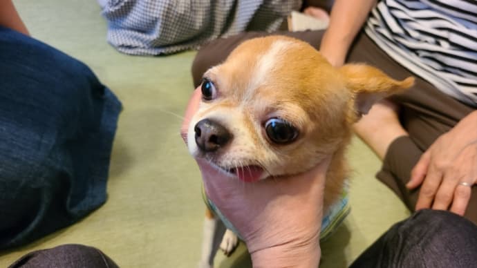 赤ちゃんに会いに💕